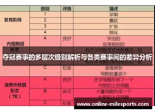 夺冠赛事的多层次级别解析与各类赛事间的差异分析